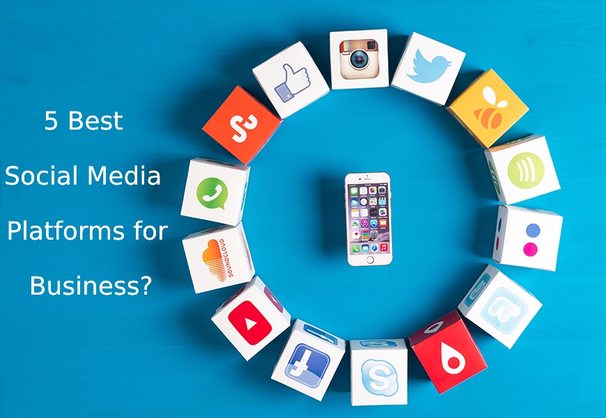 tomar autómata esta 5 Best Social Media Platforms for Business? | BrandsMartini